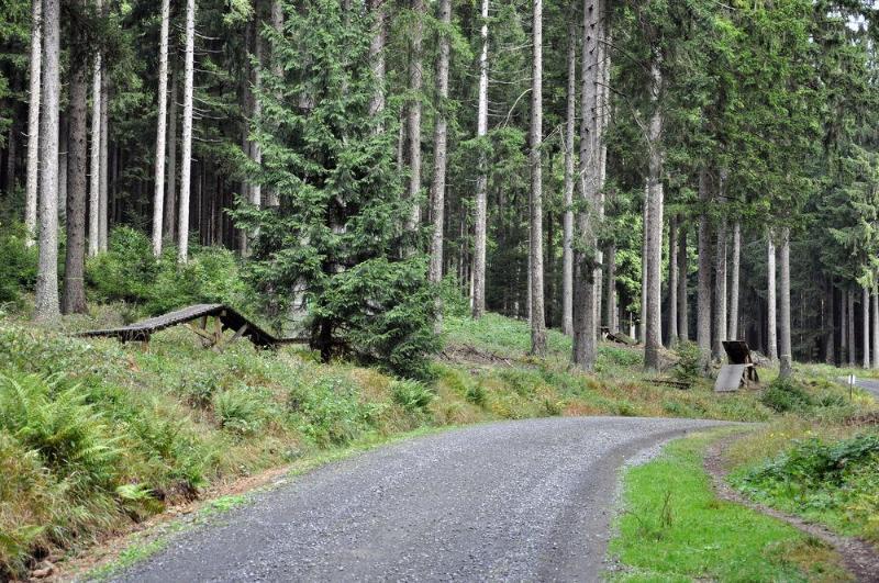 Hotel Sonnenberg Schloesschen Braunlage Eksteriør billede